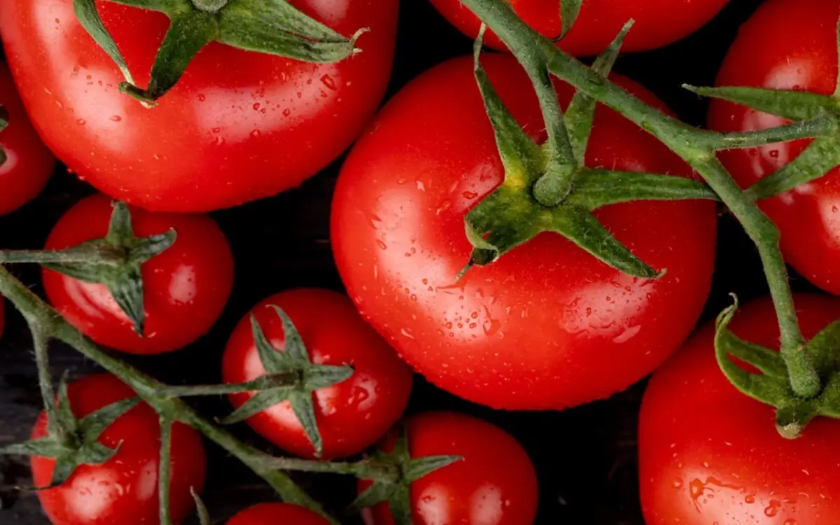 Cosa mettere alla base dei pomodori per un raccolto abbondante fino a novembre