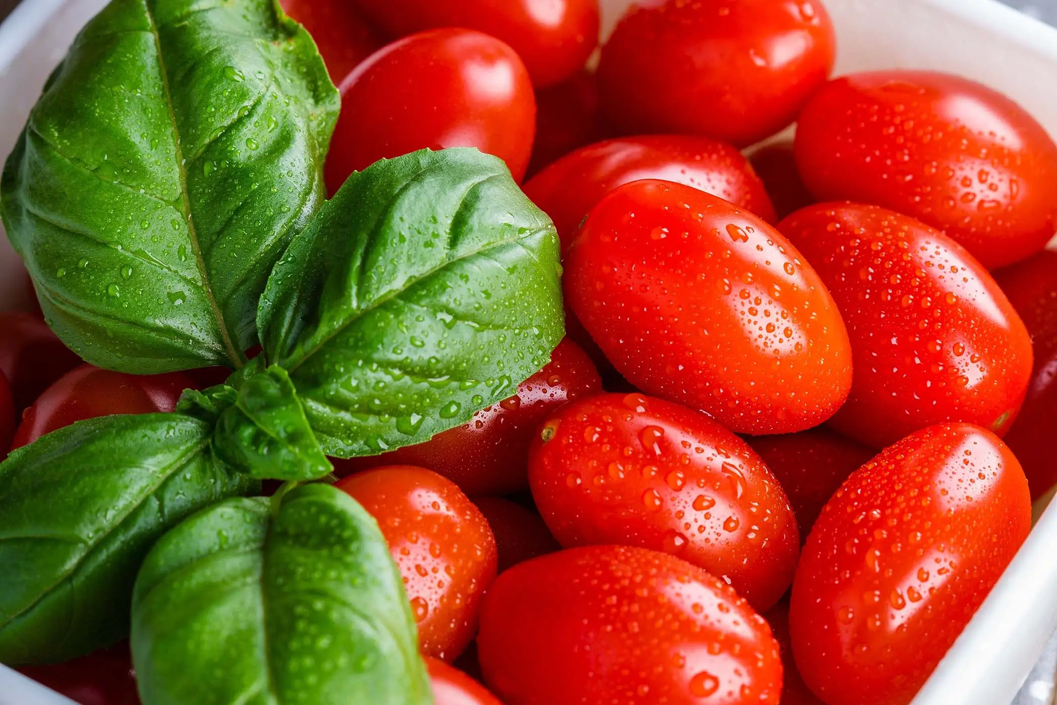 Cosa mettere alla base dei pomodori per un raccolto abbondante fino a novembre Immagine selezionata
