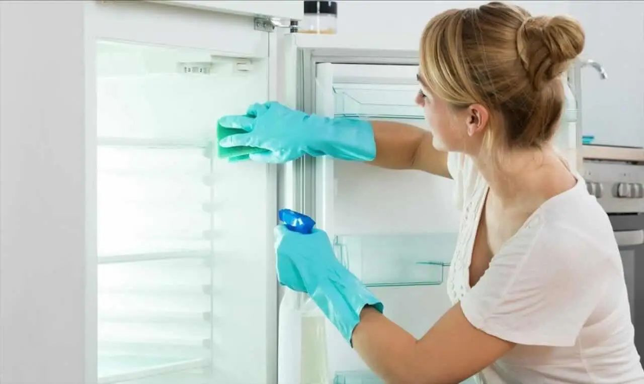 Ecco come pulire il frigorifero senza rovinarlo Immagine selezionata